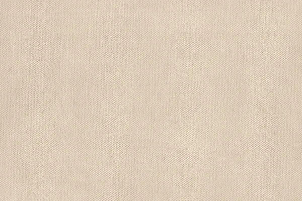 Artist Primed Cotton Duck Canvas Coarse Grain Grunge Texture — Stock Photo, Image