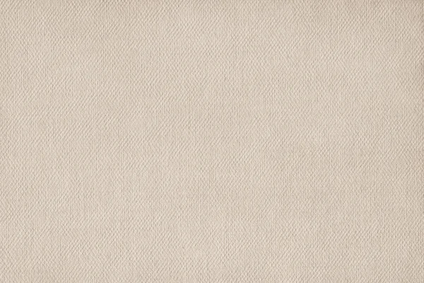 Artist Primed Linen Duck Canvas Coarse Grain Grunge Texture — Stock Photo, Image