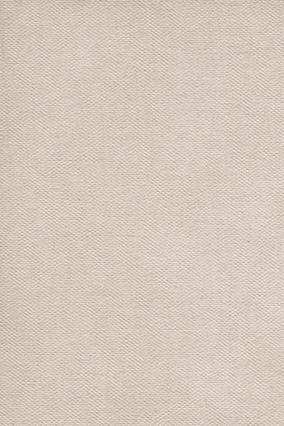 Artist Primed Linen Duck Canvas Coarse Grain Grunge Texture — Stock Photo, Image