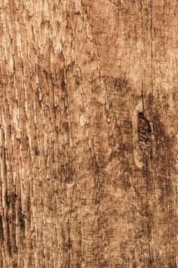 Düğümlü çam ahşap tahta Grunge doku eski kaba tedavi