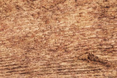 Grunge doku eski kaba tedavi düğümlü çam ahşap tahta tasarlamak