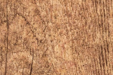 Grunge doku eski kaba tedavi düğümlü çam ahşap tahta tasarlamak