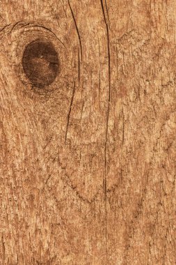 Grunge doku eski kaba tedavi düğümlü çam ahşap tahta tasarlamak