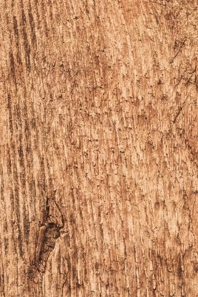 Gamla grova behandlas knuten furu trä planka Grunge konsistens — Stockfoto