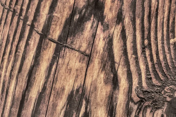 Old Cracked Rotten Pine Wood Plank Rough Grunge Texture — Stock Photo, Image