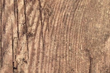 Eski çam ahşap kırık tahta Grunge doku dokuma