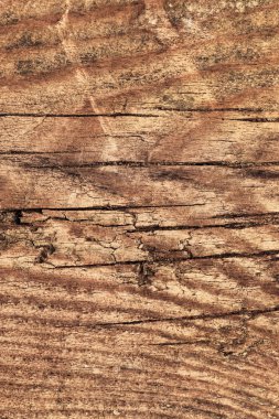 Eski çam ahşap kırık tahta Grunge doku dokuma