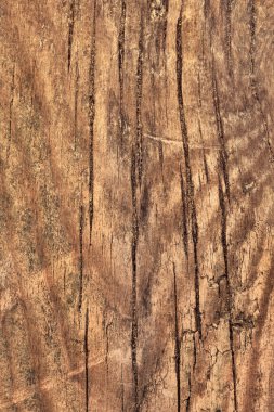 Eski çam ahşap kırık tahta Grunge doku dokuma