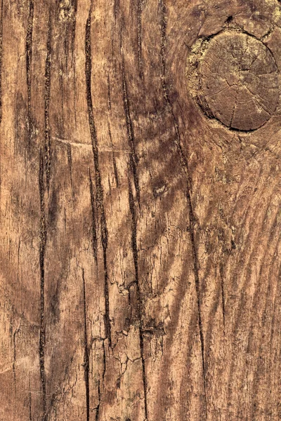 Madeira velha do pinheiro rachado entalhado prancha Grunge textura — Fotografia de Stock