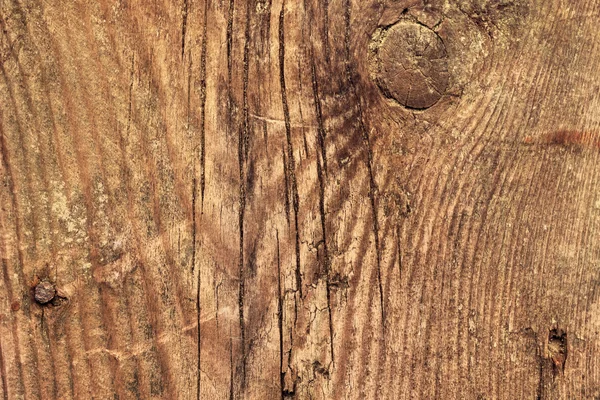 Régi fenyő fa csomózott repedt deszka Grunge textúra — Stock Fotó