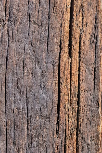 Old Weathered Rotten Cracked Square Timber Bollard Bituminous Surface Texture — Stock Photo, Image