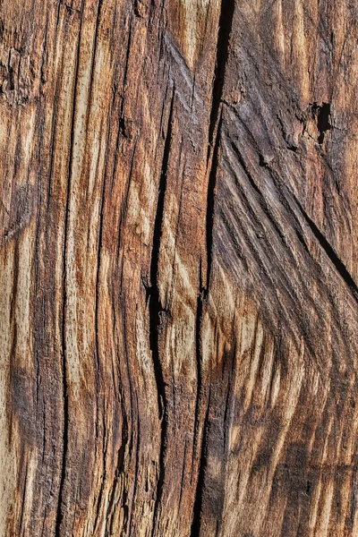 Velho Weathered podre rachado quadrado madeira Bollard textura de superfície betuminosa — Fotografia de Stock