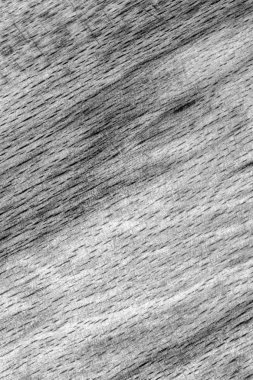 Eski kayın ahşap ağartılmış ve koyu gri Grunge doku örneği lekeli