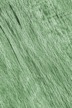 Eski kayın ahşap ağartılmış ve lekeli soluk yeşil Grunge doku örneği