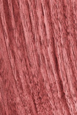 Ceviz ahşap ağartılmış ve lekeli soluk kırmızı Grunge doku örneği