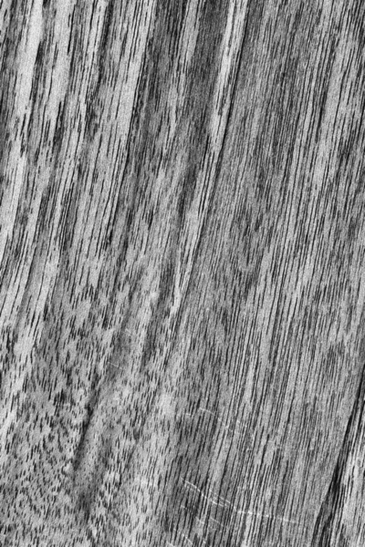 Отбеливаемая темно-серая гранжевая текстура орехового дерева . — стоковое фото