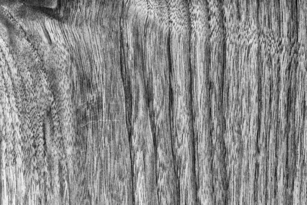核桃木材漂白深灰色 grunge 纹理. — 图库照片