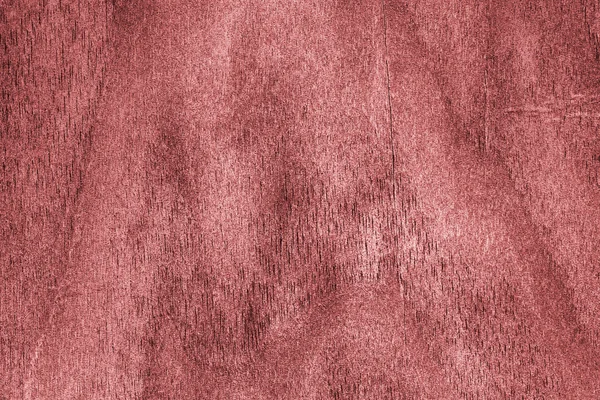 Madera de nuez natural blanqueada y manchada Pale Red Grunge Texture Sample — Foto de Stock