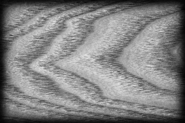 천연 단풍나무 나무 표백 하 고 얼룩진 어두운 회색 삽화 Grunge 텍스처 샘플 — 스톡 사진