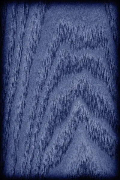 Échantillon de texture grunge bleu marine teinté de bois d'érable naturel — Photo