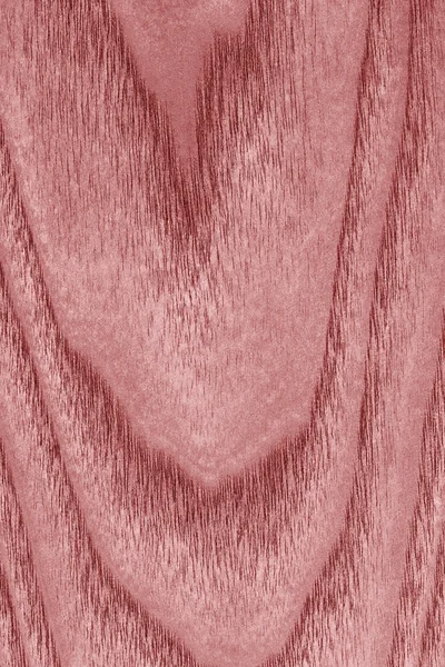 Natürliches Ahornholz gebleicht und rot gefärbt Grunge Textur Probe — Stockfoto