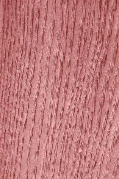 Природное клейкое дерево отбеливают и приклеивают образец красной текстуры — стоковое фото