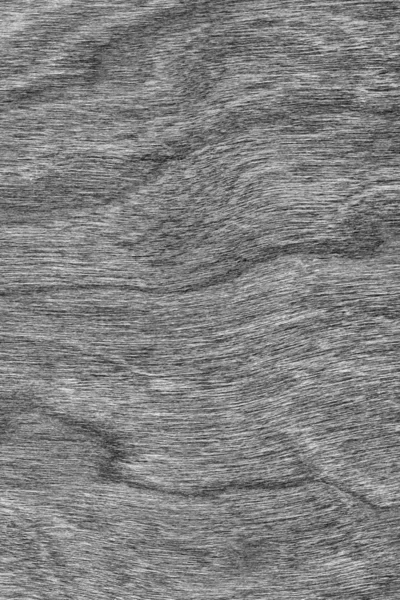 Naturliga körsbär träfanér blekt grå Grunge konsistens. — Stockfoto