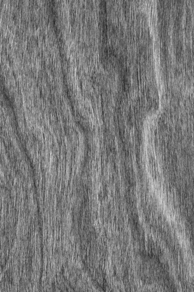 Naturliga körsbär träfanér blekt grå Grunge konsistens. — Stockfoto