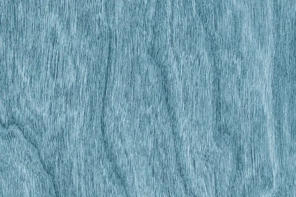 Impiallacciatura di legno naturale ciliegio sbiancato e macchiato Marine Blue Grunge Texture — Foto Stock