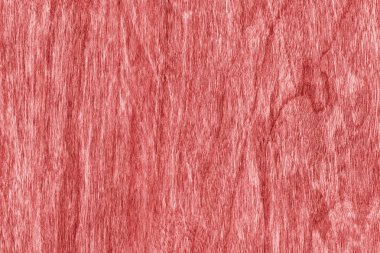 Kiraz ahşap ağartılmış ve kırmızı Grunge doku örneği lekeli