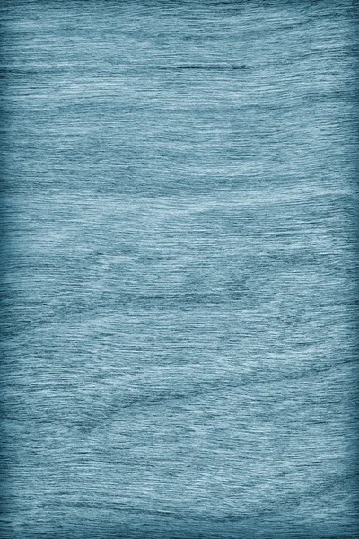 Черри Вуд отбелила и приклеила морскую голубую иглу — стоковое фото