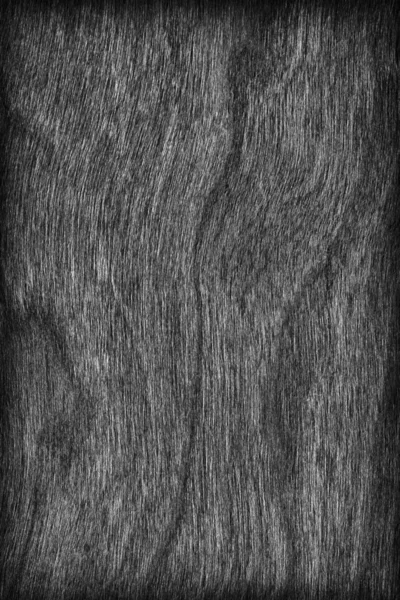 Natural Cherry Wood Veneer Bleached and Stained Gray Vignette Grunge Texture — Stock Photo, Image