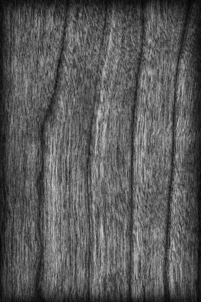 Natural Cherry Wood Veneer Bleached and Stained Gray Vignette Grunge Texture — Stock Photo, Image