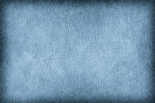 Antique Blue Animal Skin Parchment Grunge Texture Sample