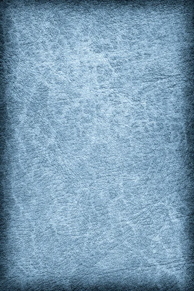 Antik blå djurhud pergament Grunge konsistens prov — Stockfoto