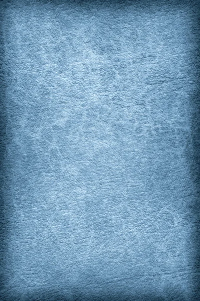 Παλαιά μπλε ζωικό δέρμα περγαμηνή Grunge υφή δείγμα — Φωτογραφία Αρχείου