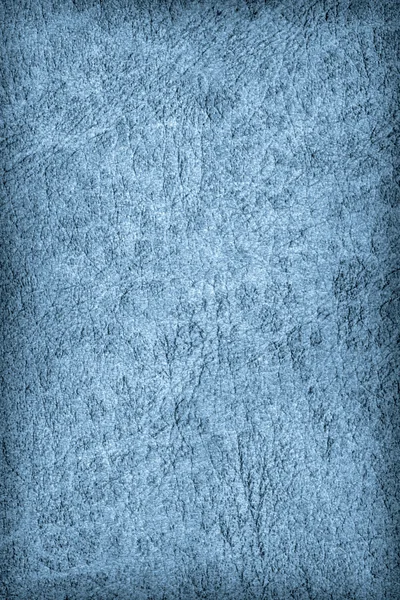 アンティーク ブルー動物の皮羊皮紙グランジ テクスチャのサンプル — ストック写真