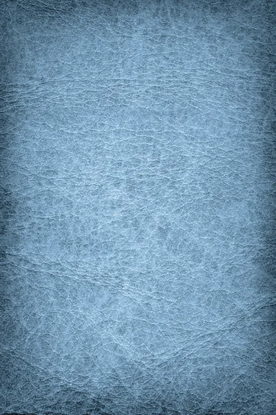 Textura de Grunge de Vignette de pergaminho de pele de animal azul antigo — Fotografia de Stock