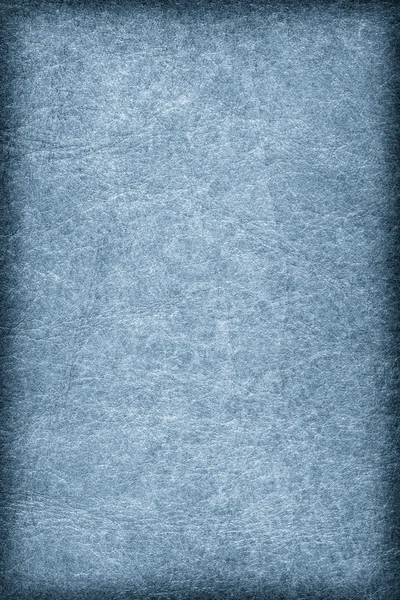 Παλαιά μπλε ζωικό δέρμα περγαμηνή βινιέτα Grunge υφή — Φωτογραφία Αρχείου