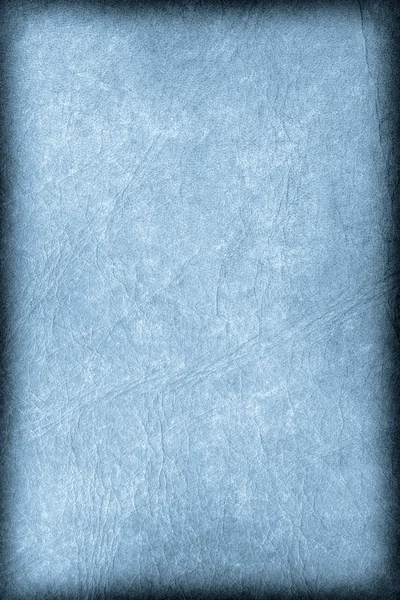 アンティーク ブルー動物の皮羊皮紙ビネット グランジ テクスチャ — ストック写真