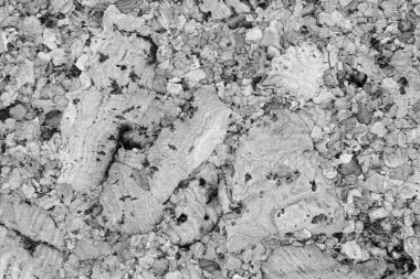 Cork karo gri kaba doku