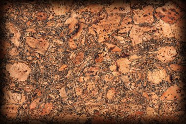 Doğal mantar döşeme kaba Vignette Grunge doku örneği