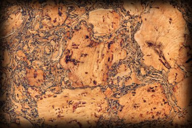 Doğal mantar döşeme kaba Vignette Grunge doku örneği