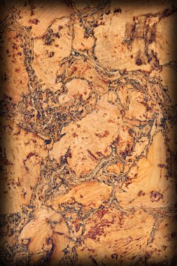 Doğal mantar döşeme kaba Vignette Grunge doku örneği