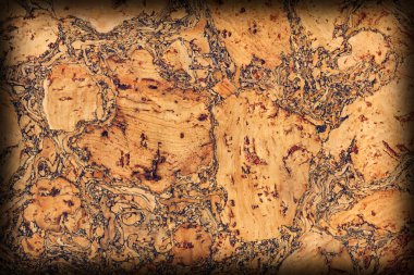 Doğal mantar döşeme kaba Vignette Grunge doku örneği