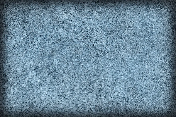 Oude donker blauwe koeienhuid Creasy grof vignet Grunge textuur monster — Stockfoto