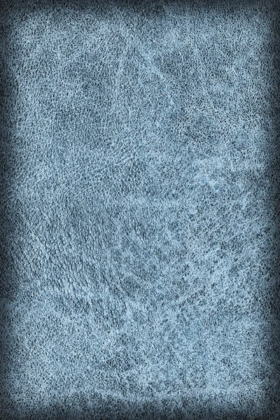 Oude donker blauwe koeienhuid Creasy grof vignet Grunge textuur monster — Stockfoto