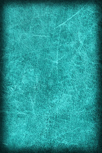 जुना सायन स्टेनलेस काउहाइड क्रीटी खडबडीत विग्नेट ग्रांज पोत नमुना — स्टॉक फोटो, इमेज