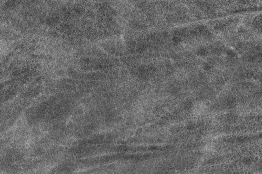 Eski karanlık gri sığır derisi Creasy kaba Grunge doku örneği