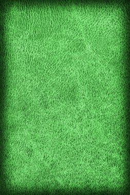 Eski Kelly yeşil inek derisi Creasy kaba Vignette Grunge doku örneği